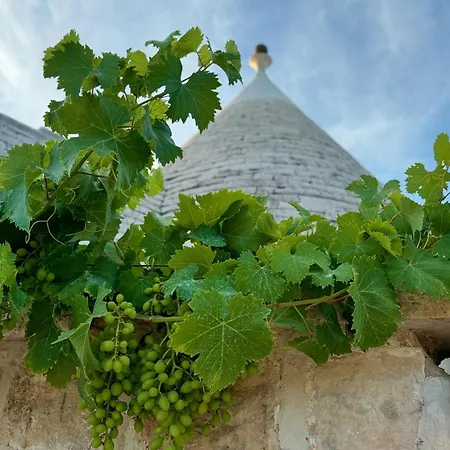 וילה Trulli Itria Agave לוקורוטונדו