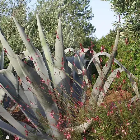 Trulli Itria Agave וילה *