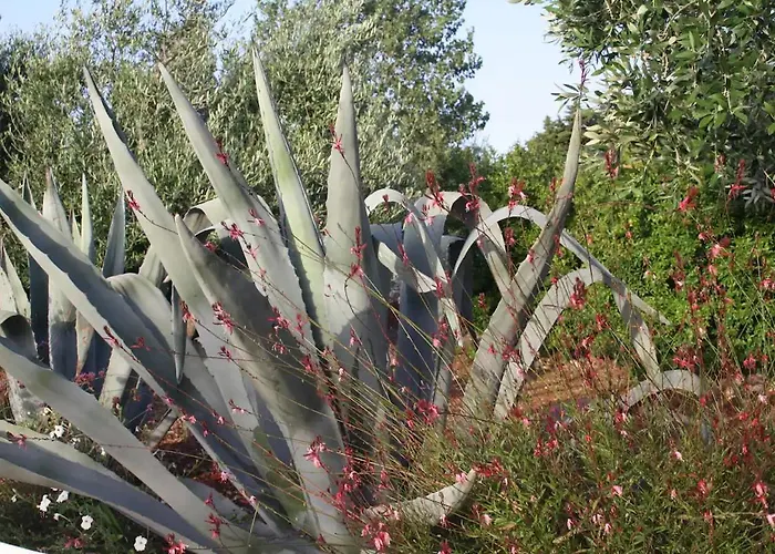 Trulli Itria Agave Вилла *
